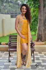 Seerat Kapoor At Raju Gari Gadhi 2 Movie Trailer Launch
